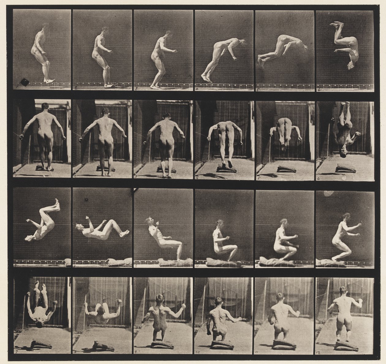 363. tábla. Futó szaltó, 1885 alkotó: Eadweard Muybridge