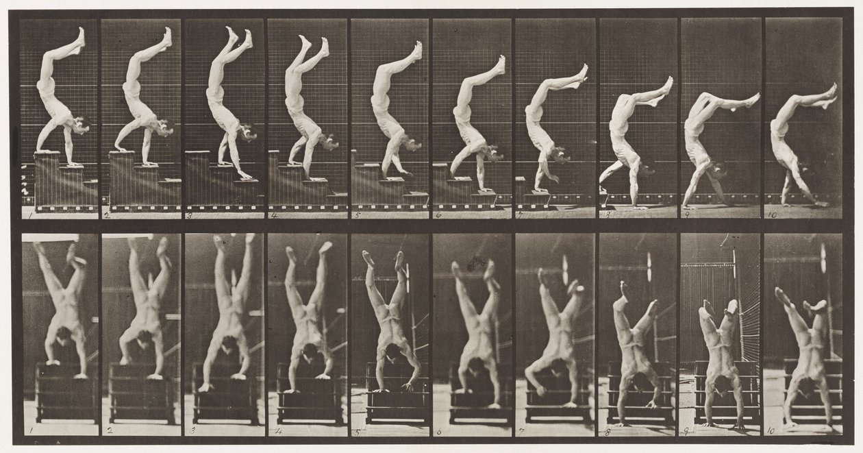 368. tábla. Acrobat, Descending Stairs on Hands alkotó: Eadweard Muybridge