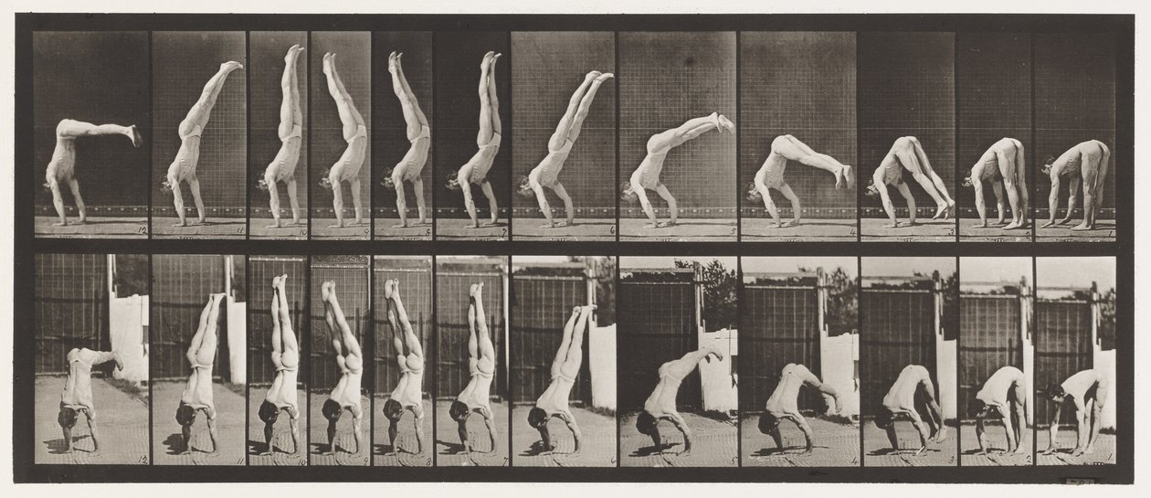 371. tábla. Acrobat, függőleges nyomás felfelé alkotó: Eadweard Muybridge