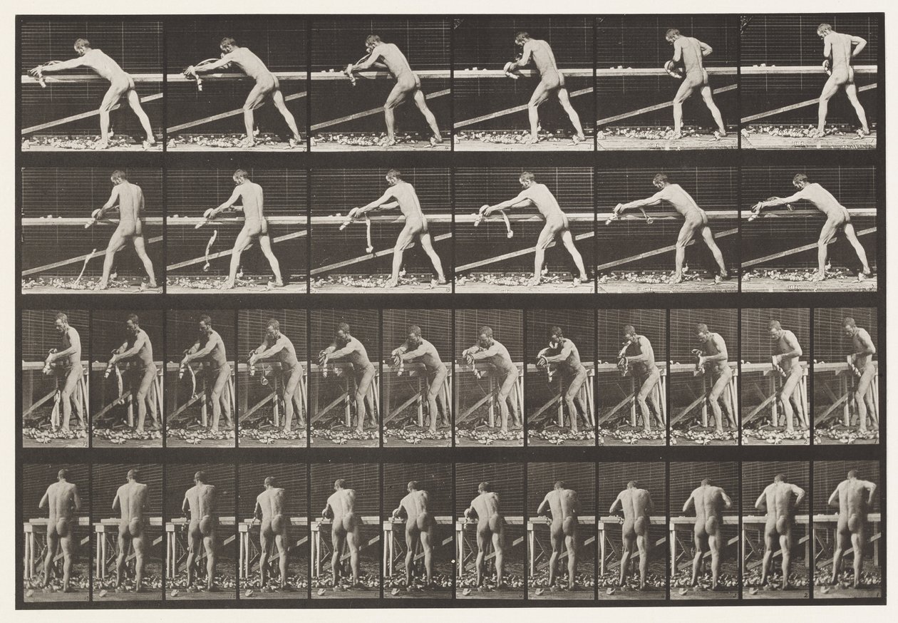 379. tábla. Ács, Deszkát gyalul, 1872-1885 alkotó: Eadweard Muybridge