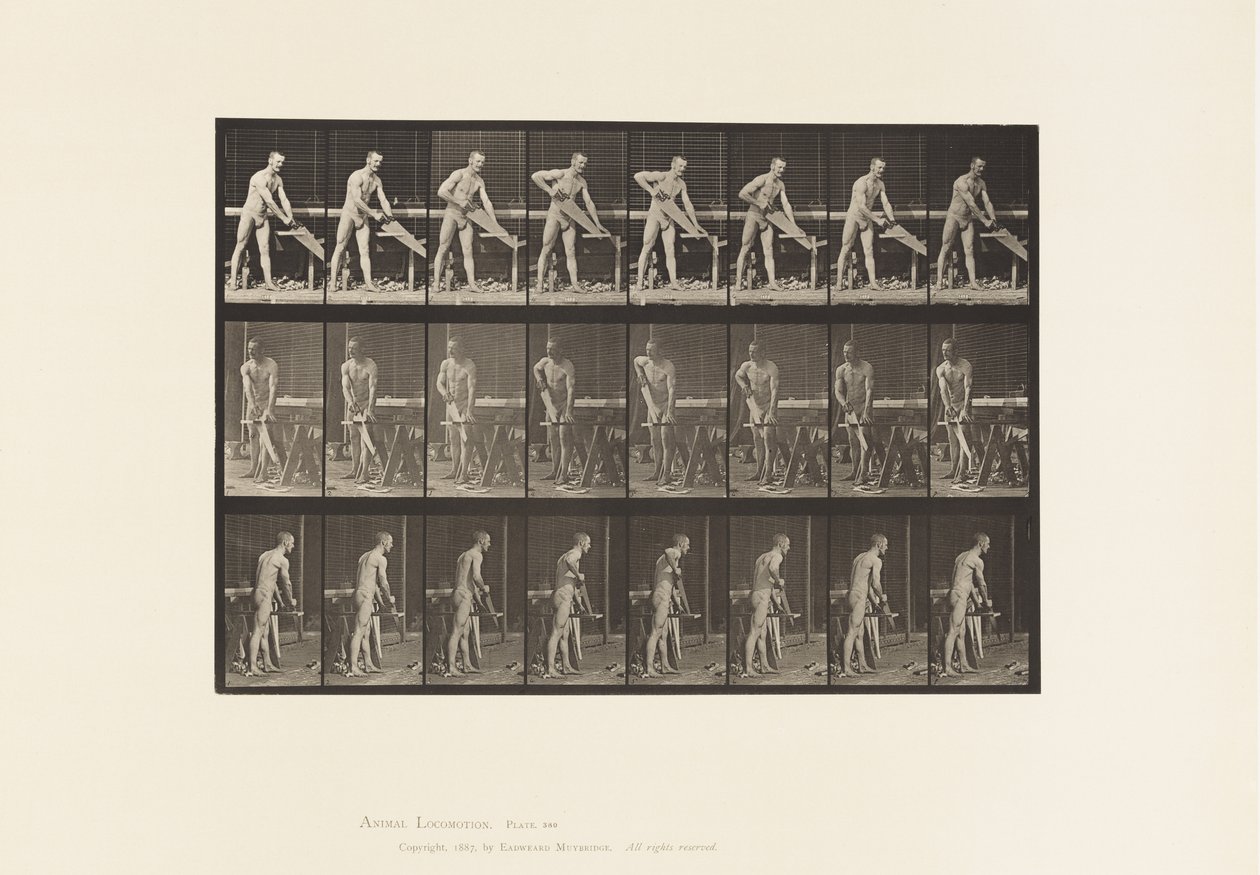 380. tábla. Ács, Fűrész, 1872-1885 alkotó: Eadweard Muybridge