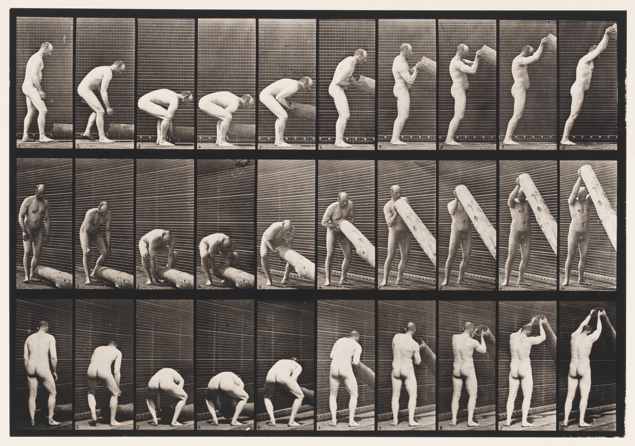 382. tábla. Egy farönk emelése a végén, 1872-1885 alkotó: Eadweard Muybridge