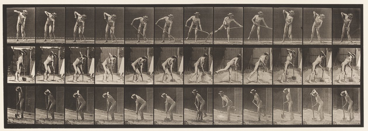 387. tábla. Gazda, hosszú nyelű lapáttal alkotó: Eadweard Muybridge