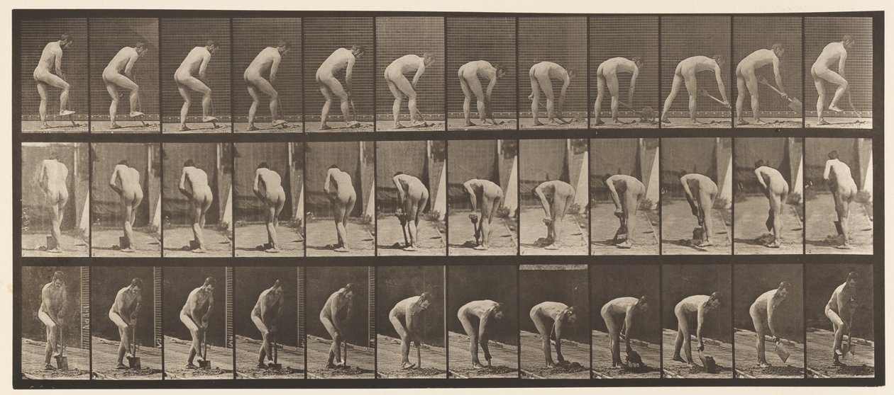 388. tábla. Farmer, ásóval, 1872-1885 alkotó: Eadweard Muybridge