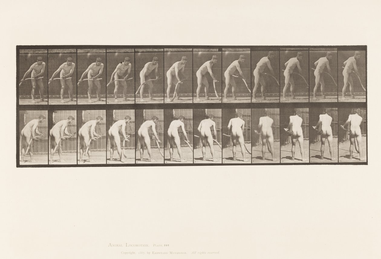 tábla 390. Gazda, fűnyírás alkotó: Eadweard Muybridge