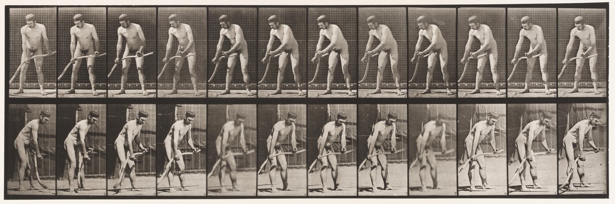 tábla 391. Gazda, fűnyírás alkotó: Eadweard Muybridge