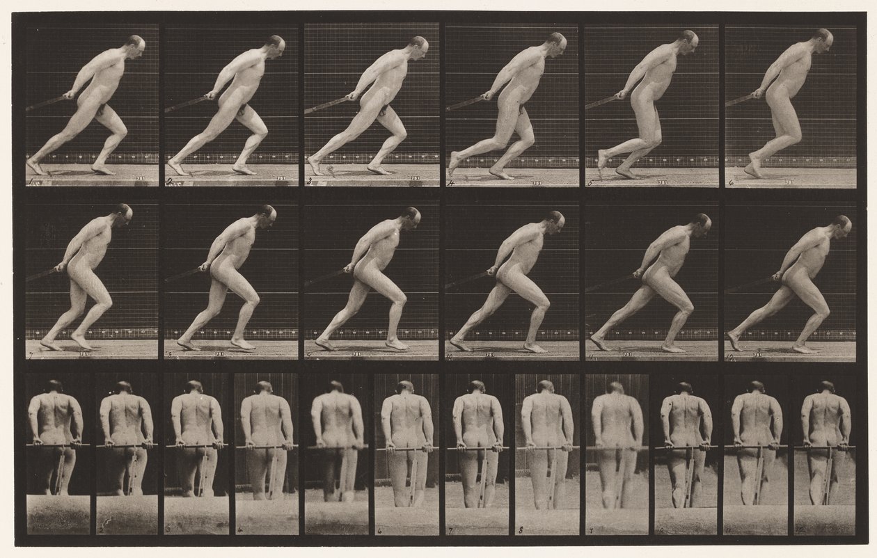 392. tábla. Kerti henger húzása, 1872-1885 alkotó: Eadweard Muybridge