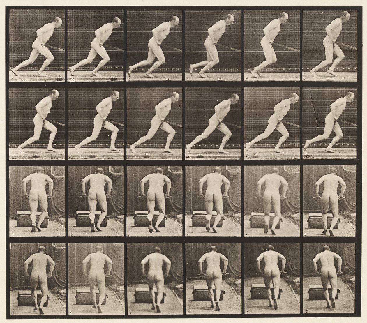 393. tábla Kerti hengert tolni, 1872-1885 alkotó: Eadweard Muybridge