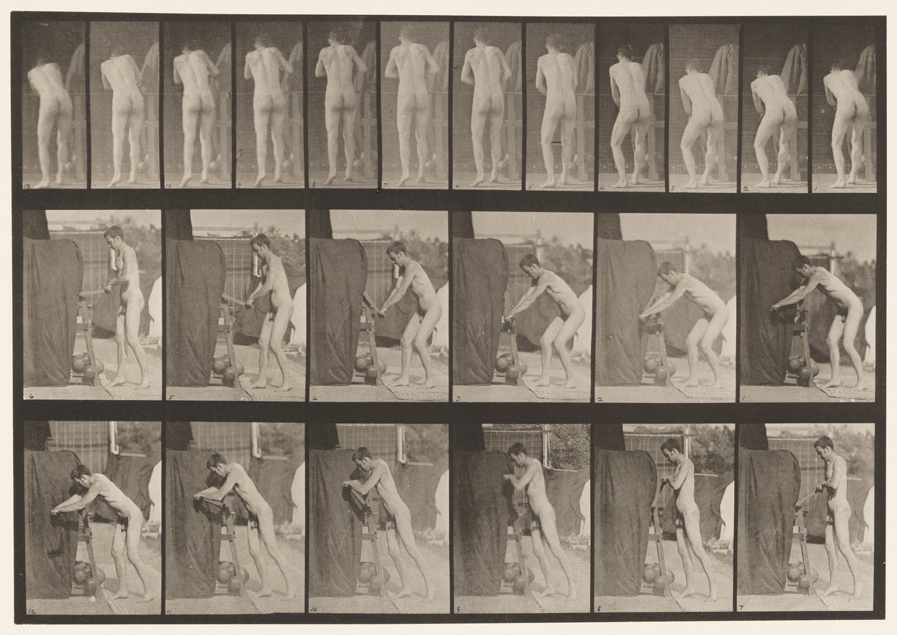 Tányér 394. Forgatókar forgatása alkotó: Eadweard Muybridge
