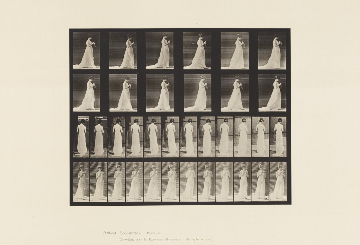 39. tábla. Séta, kötéssel foglalkozó kezek, 1872-1885 alkotó: Eadweard Muybridge