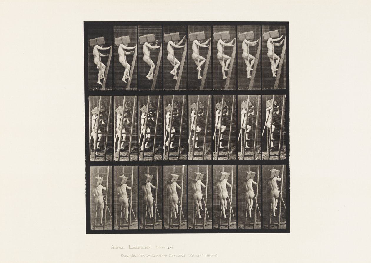 405. tábla. Téglakézzel fel a létrán, 1872-1885 alkotó: Eadweard Muybridge
