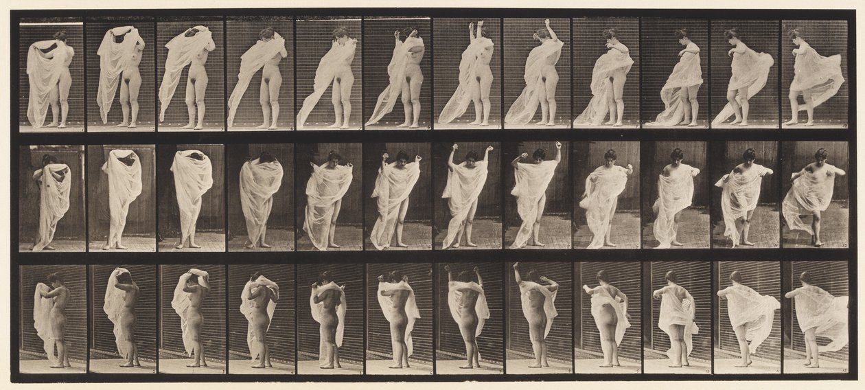 416. tányér. WC, ruhafelöltés alkotó: Eadweard Muybridge