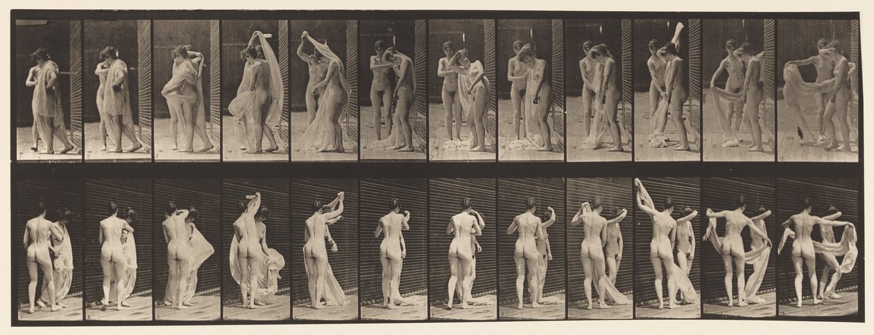 Tányér 428. WC; Két modell, 1 Disrobing 8, 1872-1885 alkotó: Eadweard Muybridge