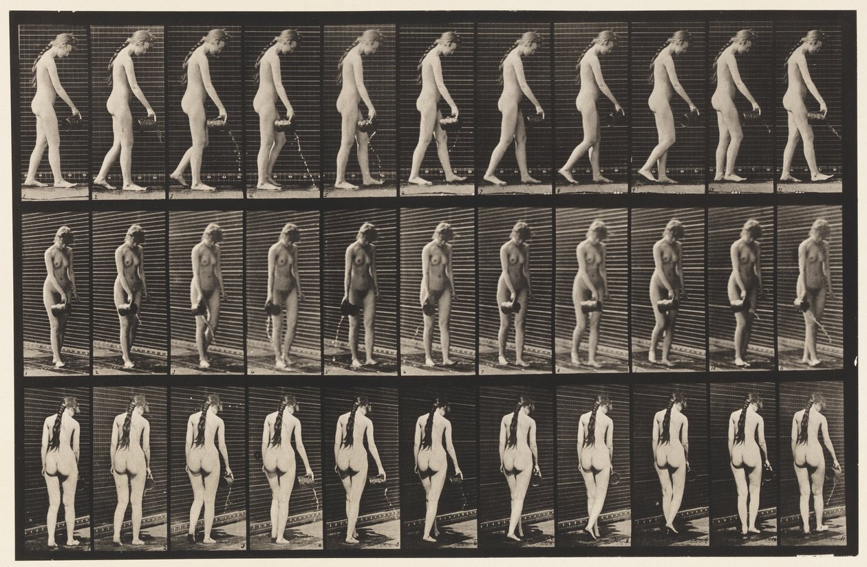 42. tányér. Séta, vízöntés a kancsóból alkotó: Eadweard Muybridge