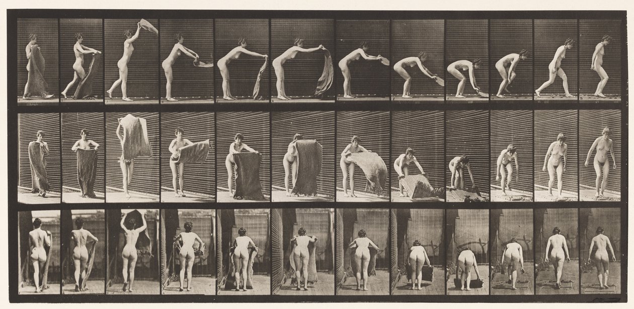 439. tábla. Szőnyeg terítése a padlón, 1872-1885 alkotó: Eadweard Muybridge