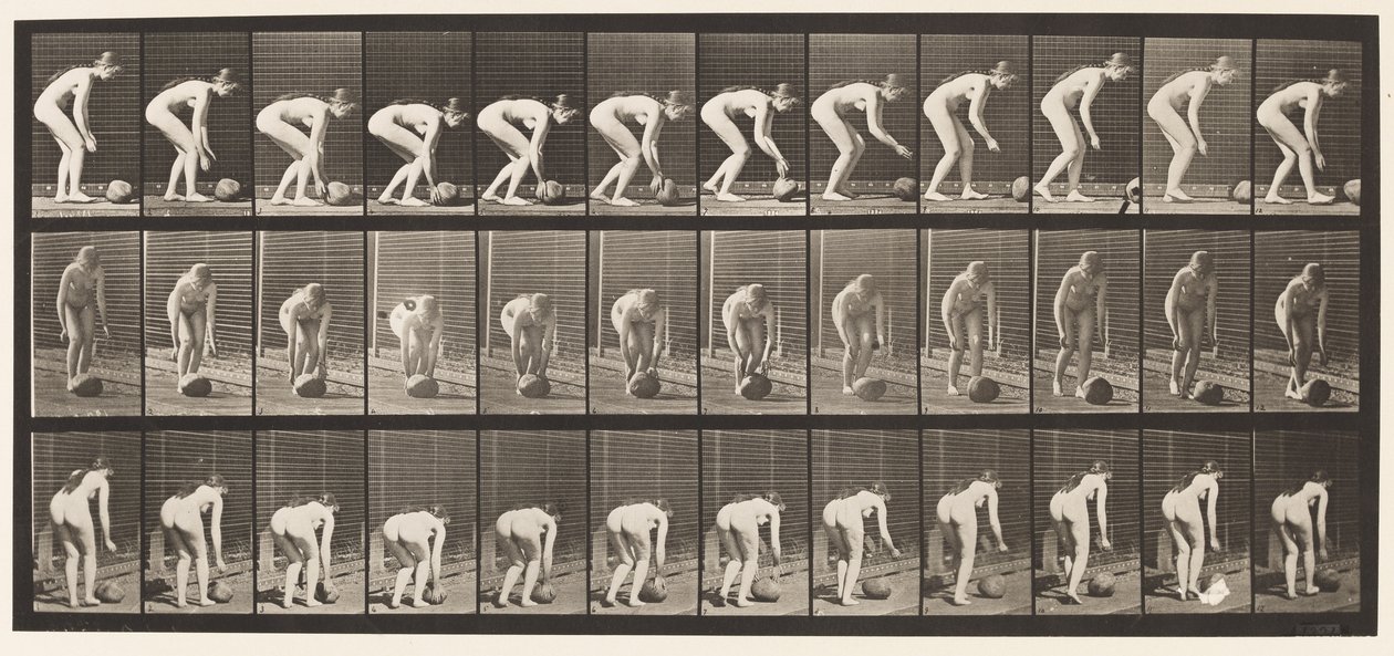 442. tábla. Lehajlás és kő gördülése a földön alkotó: Eadweard Muybridge