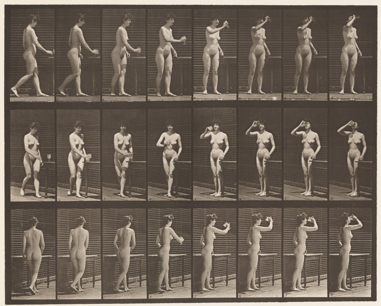 443. tányér. Serlegből ivás állva alkotó: Eadweard Muybridge
