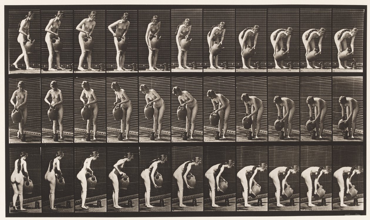 446. tányér. Töltőkancsó a földön Víz-edényből alkotó: Eadweard Muybridge