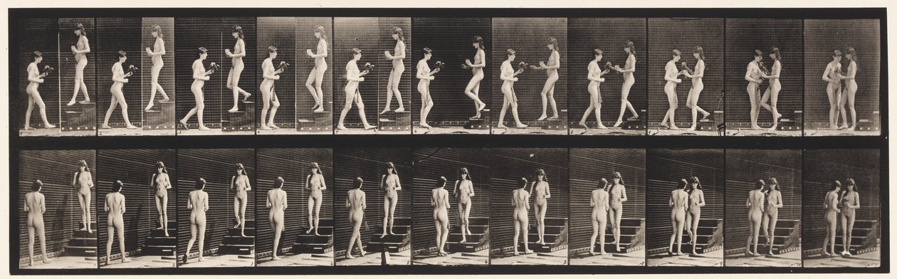 448-as tábla. Két modell alkotó: Eadweard Muybridge