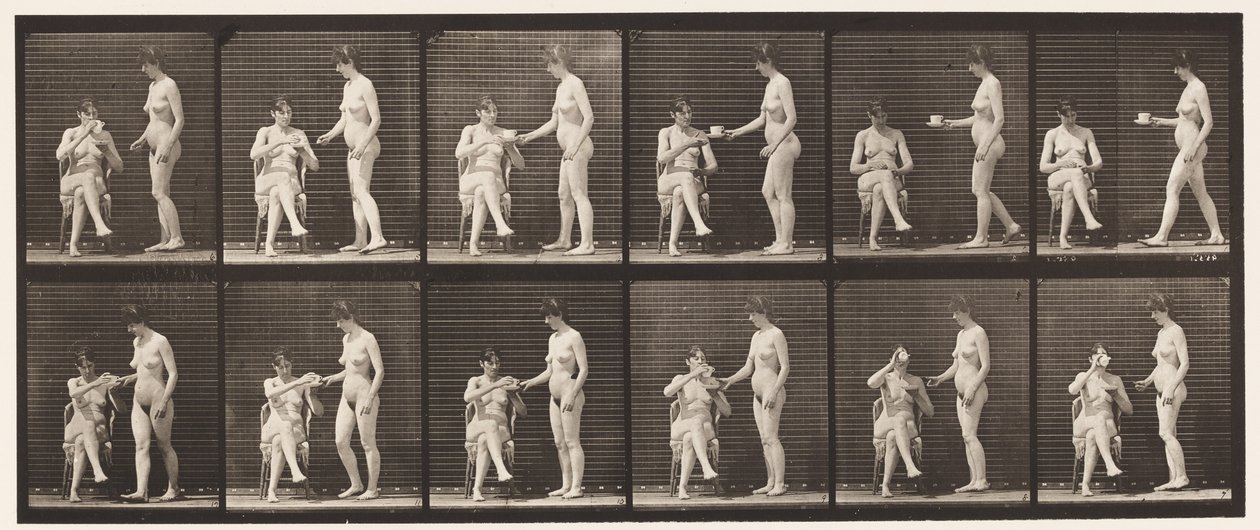 450-es tányér. Két modell, 8 csésze tea, 1 csésze és italok, 1872-1885 alkotó: Eadweard Muybridge