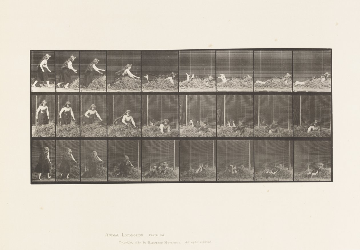 455. tábla. Szénakupacra dobás alkotó: Eadweard Muybridge
