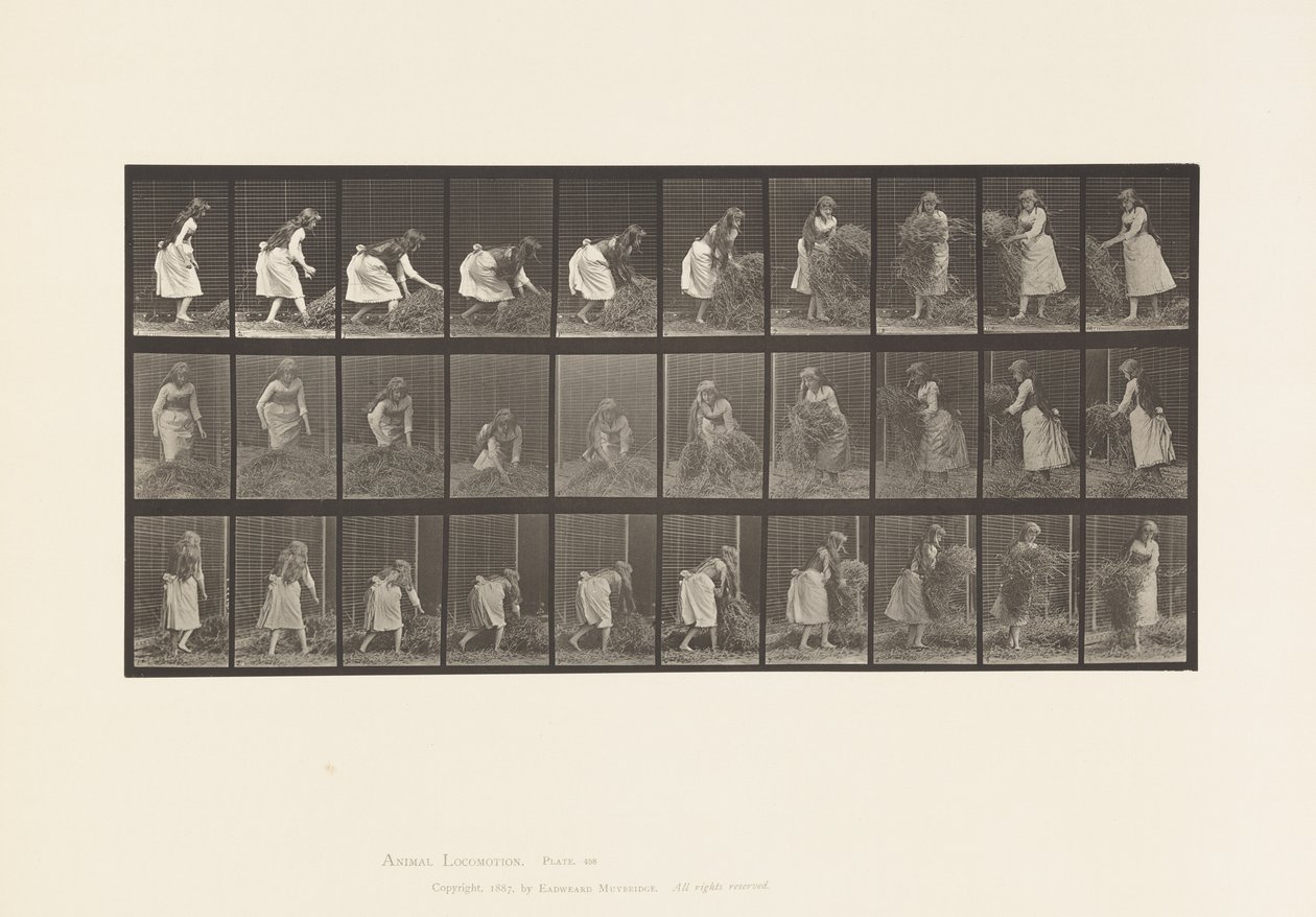 458. tányér. Marék széna felemelése, megfordítása, ledobása alkotó: Eadweard Muybridge