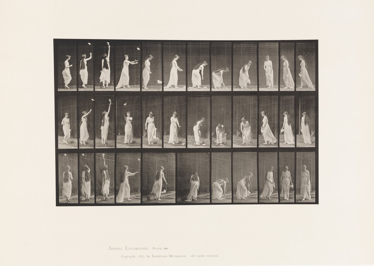 463. tábla. Felnyúlás, lehajlás és megfordulás, 1885 alkotó: Eadweard Muybridge