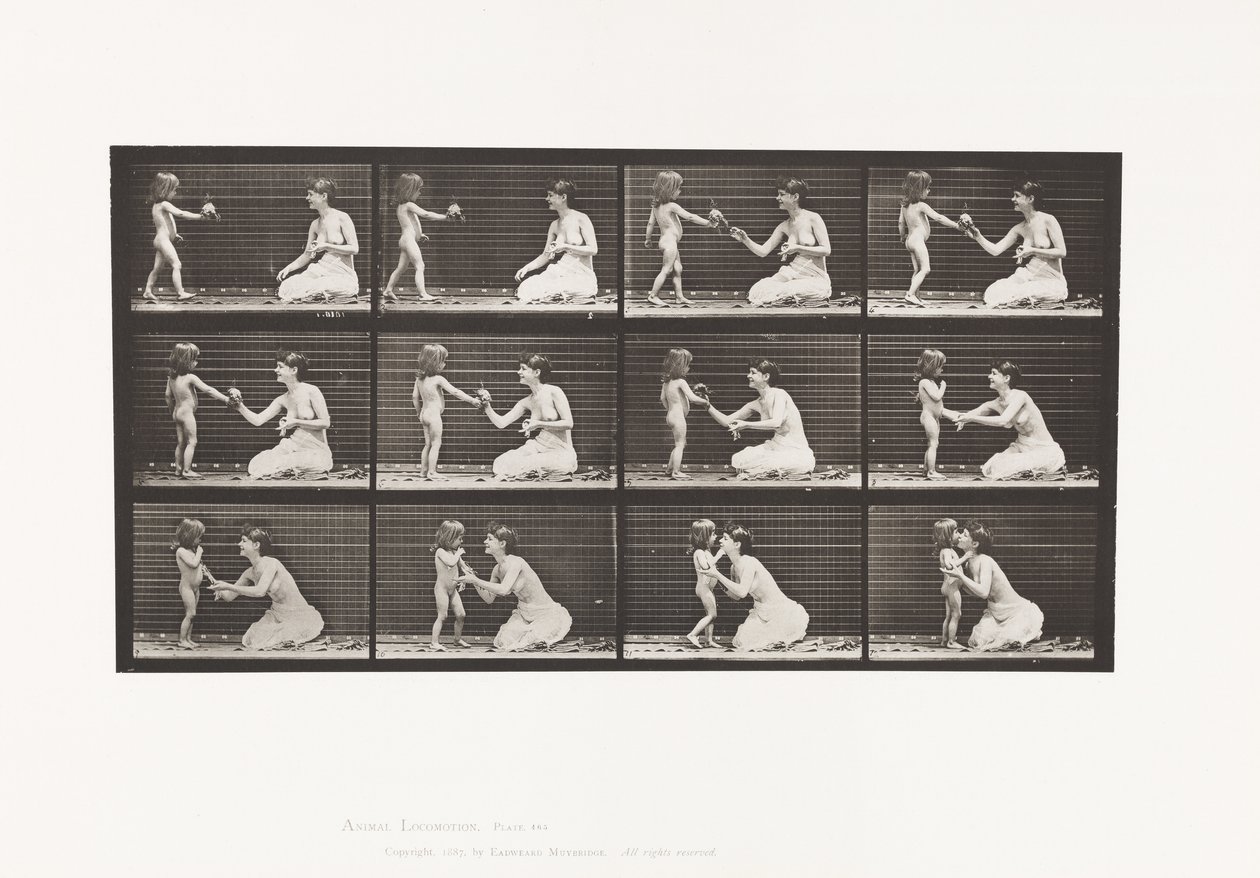 465. tábla. Két modell, 70N gyerek, 1885. 12-re hozó csokrot alkotó: Eadweard Muybridge