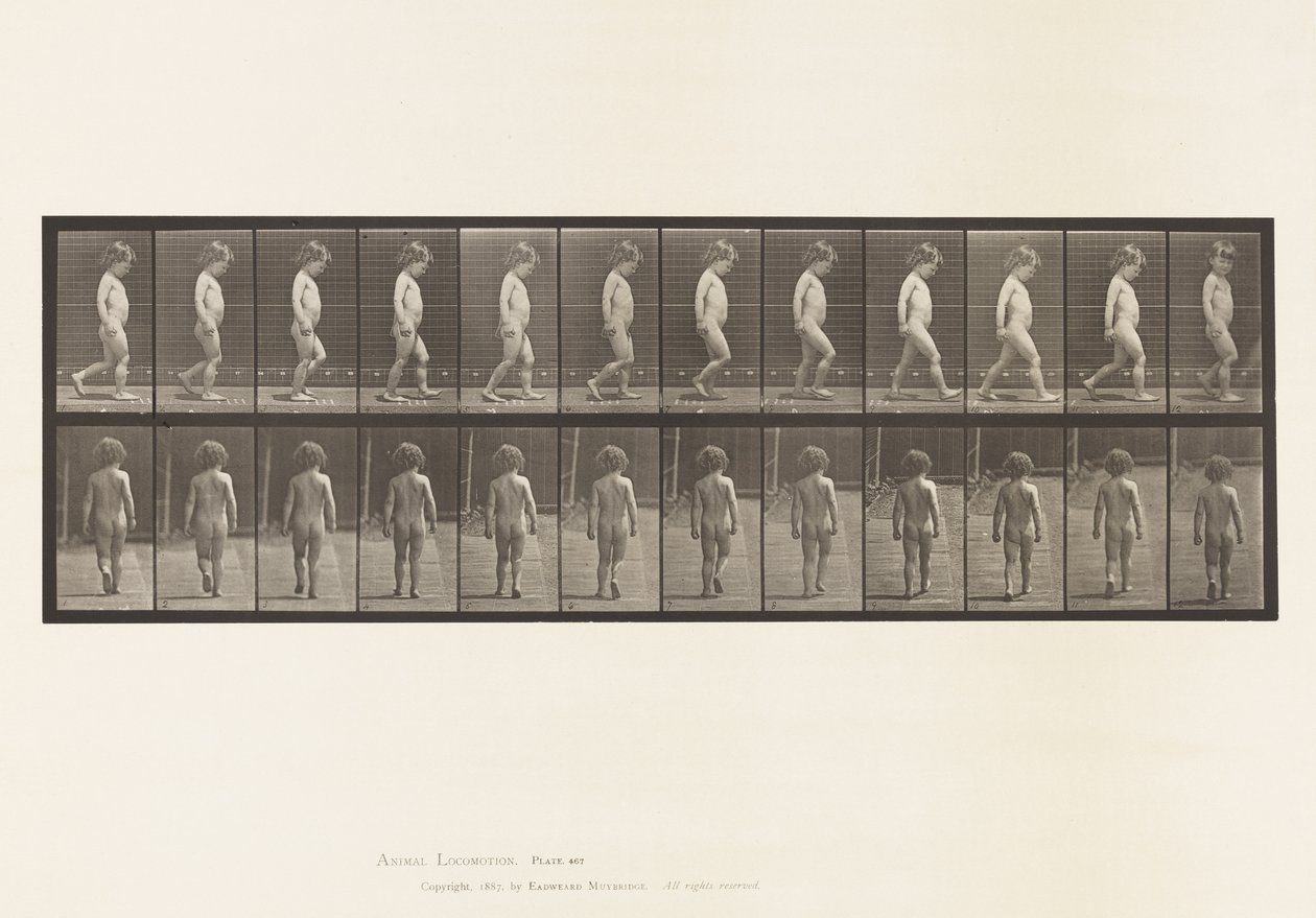 467. tábla.Gyermek, Séta, 1885 alkotó: Eadweard Muybridge