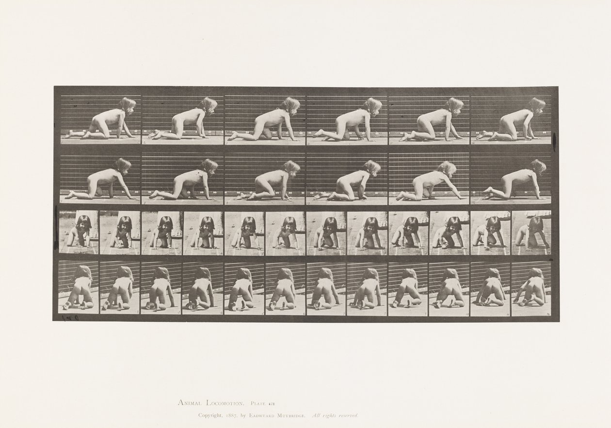 471. tábla Gyermek, Kézen és térden mászkál, 1885 alkotó: Eadweard Muybridge