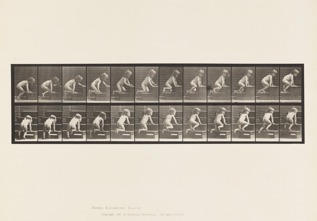 472. tábla. Gyermek, mászkál az emeleten, 1885 (kollotípia papíron) alkotó: Eadweard Muybridge