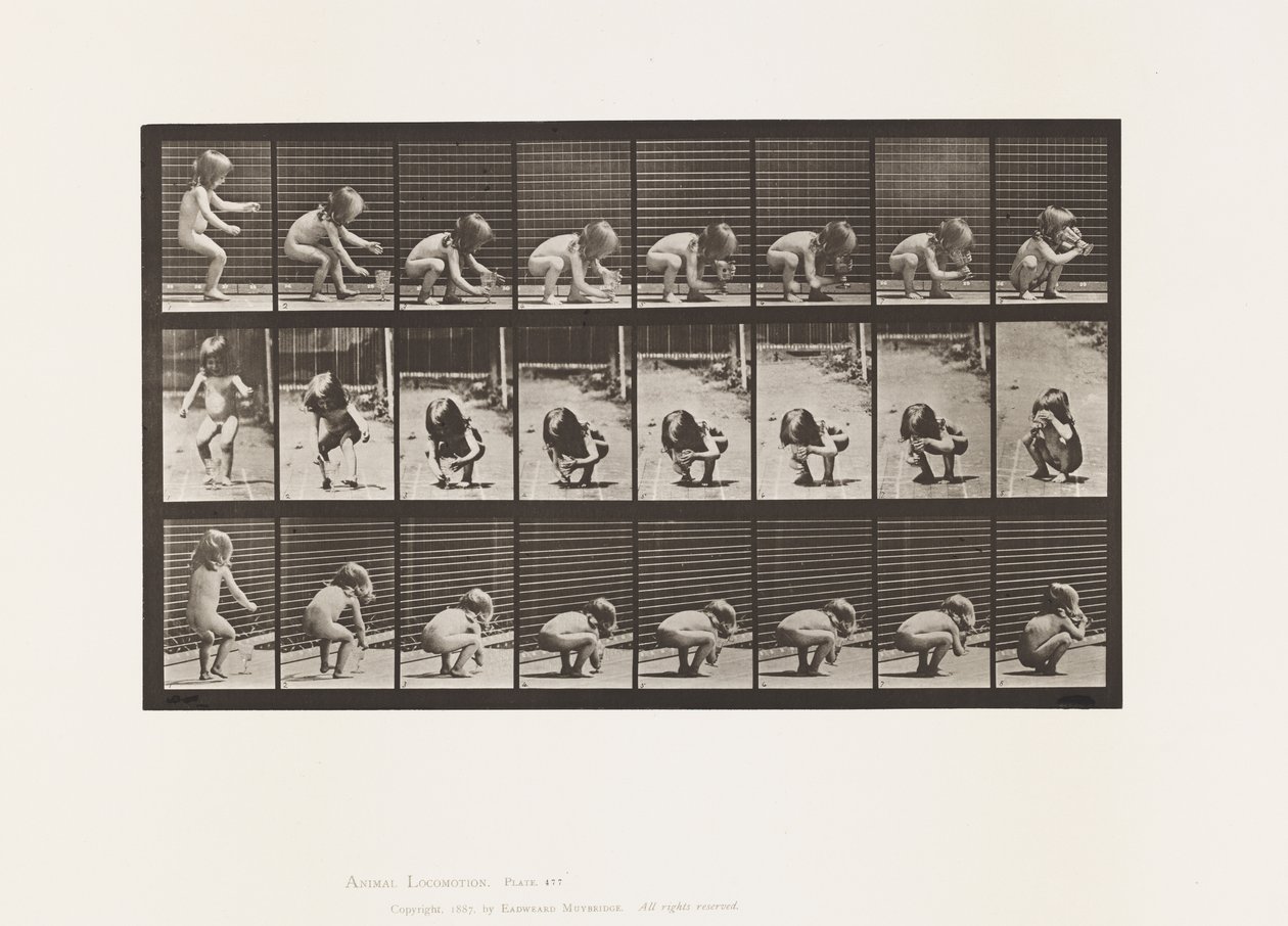 477. tányér. Gyermek, hajlongás, serlegemelés és ivás alkotó: Eadweard Muybridge
