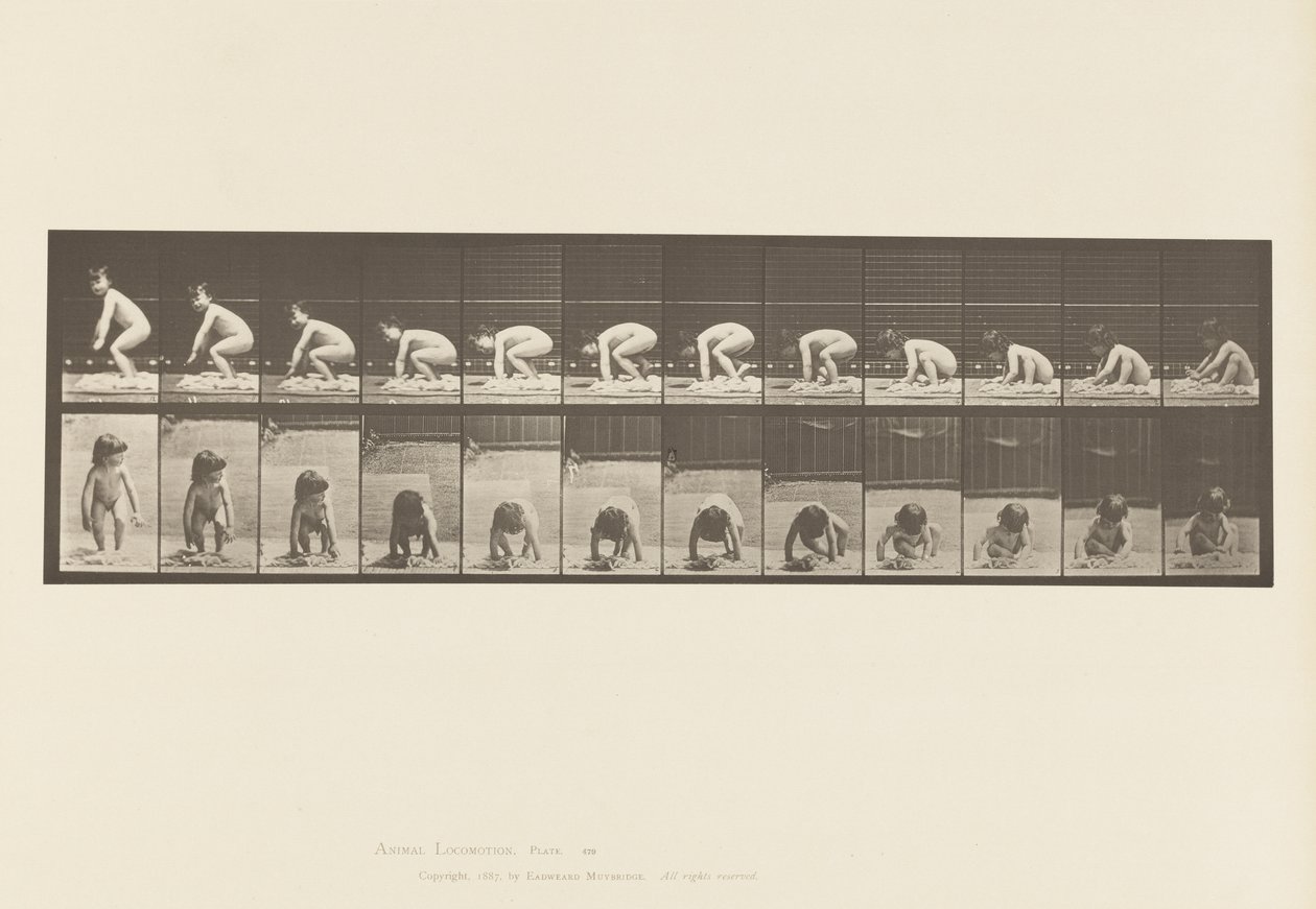 479. tábla. Gyermek, felkelés a földről alkotó: Eadweard Muybridge