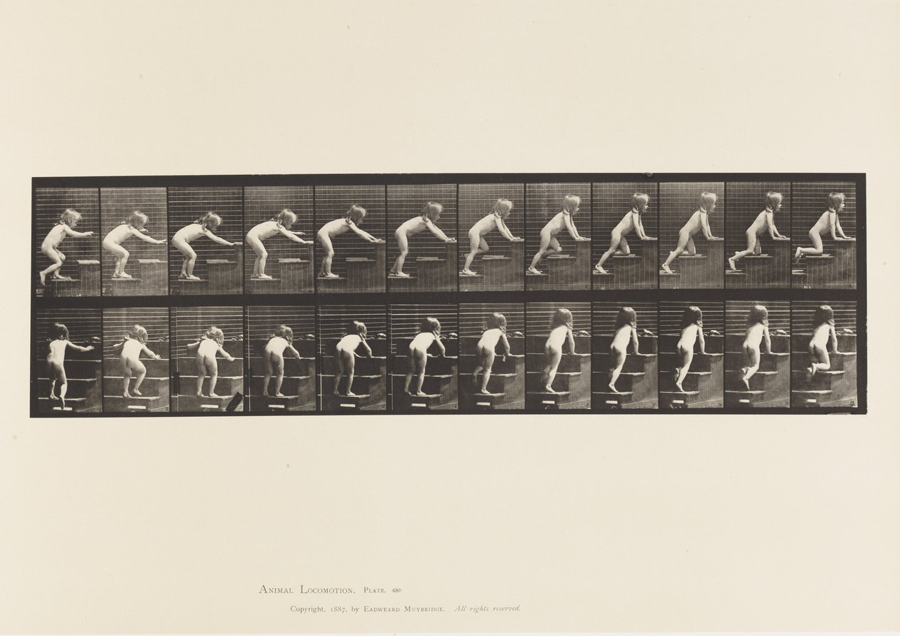 480. tábla. Gyermek, sétál és mászkál az emeleten alkotó: Eadweard Muybridge