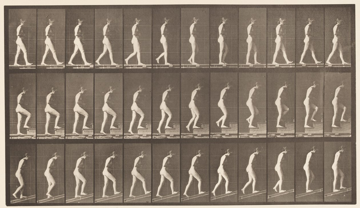 tábla 482. A, Séta; B, felszálló lépcsők; C, növekvő lejtő, 1872-1885 alkotó: Eadweard Muybridge
