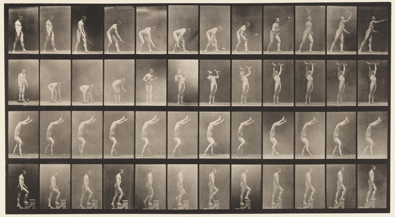 tábla 488. A, Gyeptenisz; B, Dumb Bells; C, Walking on Hands;, 1872-1885 alkotó: Eadweard Muybridge