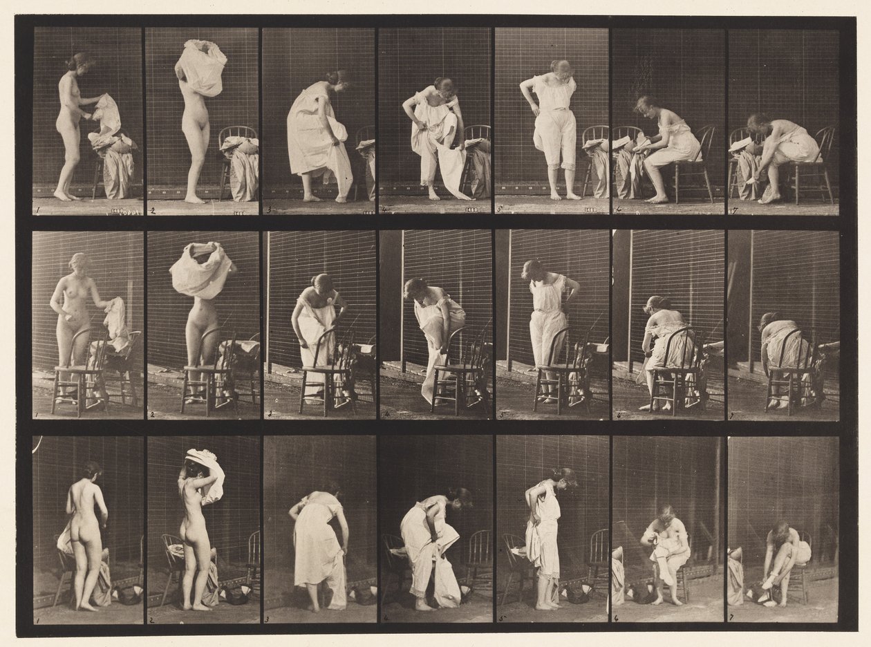 493. tábla. A WC vegyes fázisai, 1872-1885 alkotó: Eadweard Muybridge