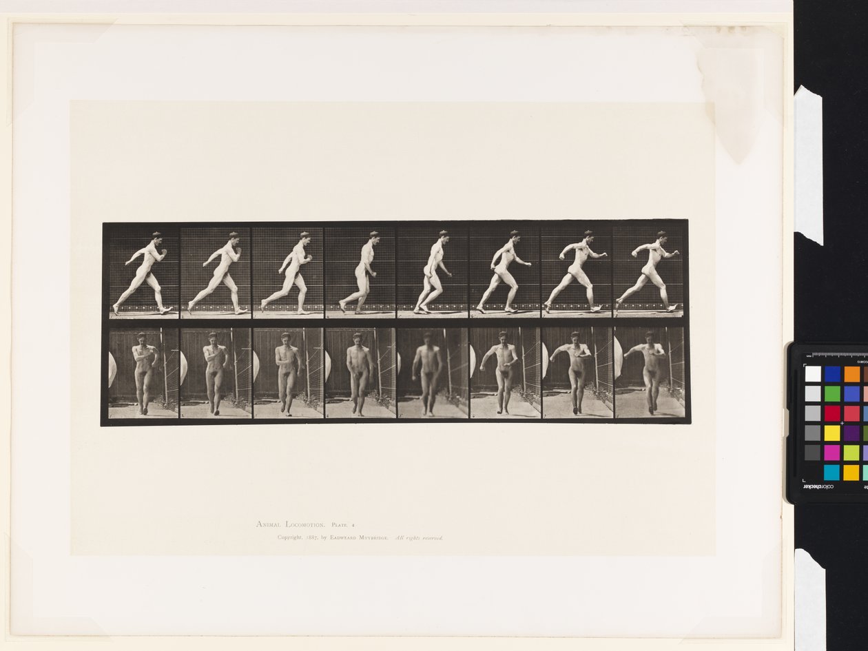 Tányér 4. Séta alkotó: Eadweard Muybridge