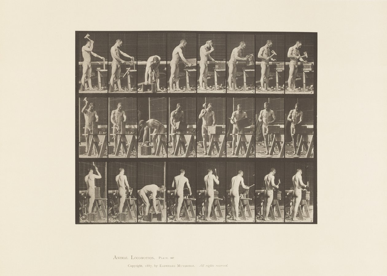 tábla 507. Ács alkotó: Eadweard Muybridge