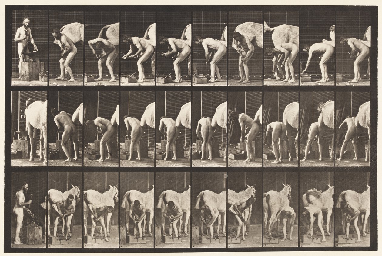 508. tábla. Lópatkolás alkotó: Eadweard Muybridge