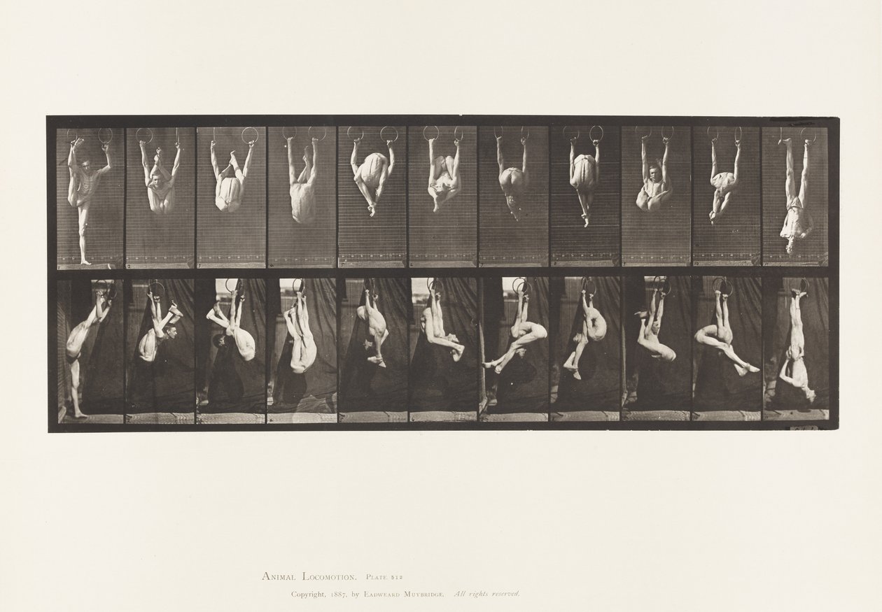 512. tábla. Gyűrűk eltorzulása alkotó: Eadweard Muybridge