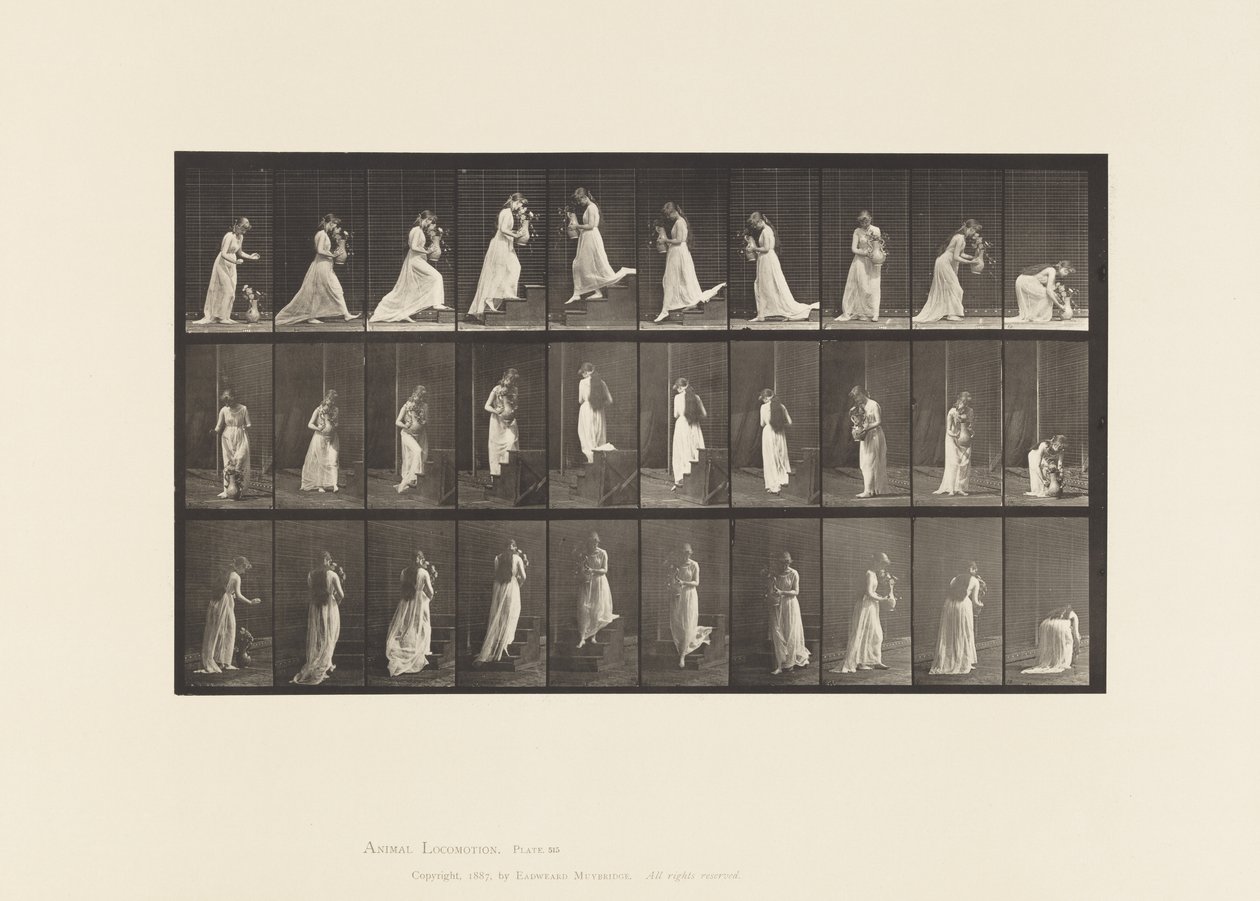 515. tábla. Felmenő és leszálló lépcsők stb., 1885 alkotó: Eadweard Muybridge