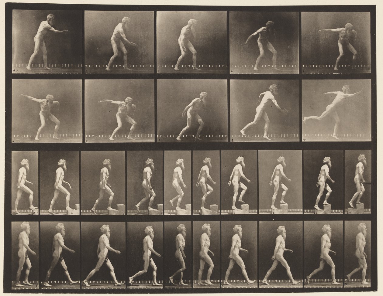 519. A lemez, dobókorong; B, Emelkedő lépcsők; C, Walking., 1872-1885 alkotó: Eadweard Muybridge