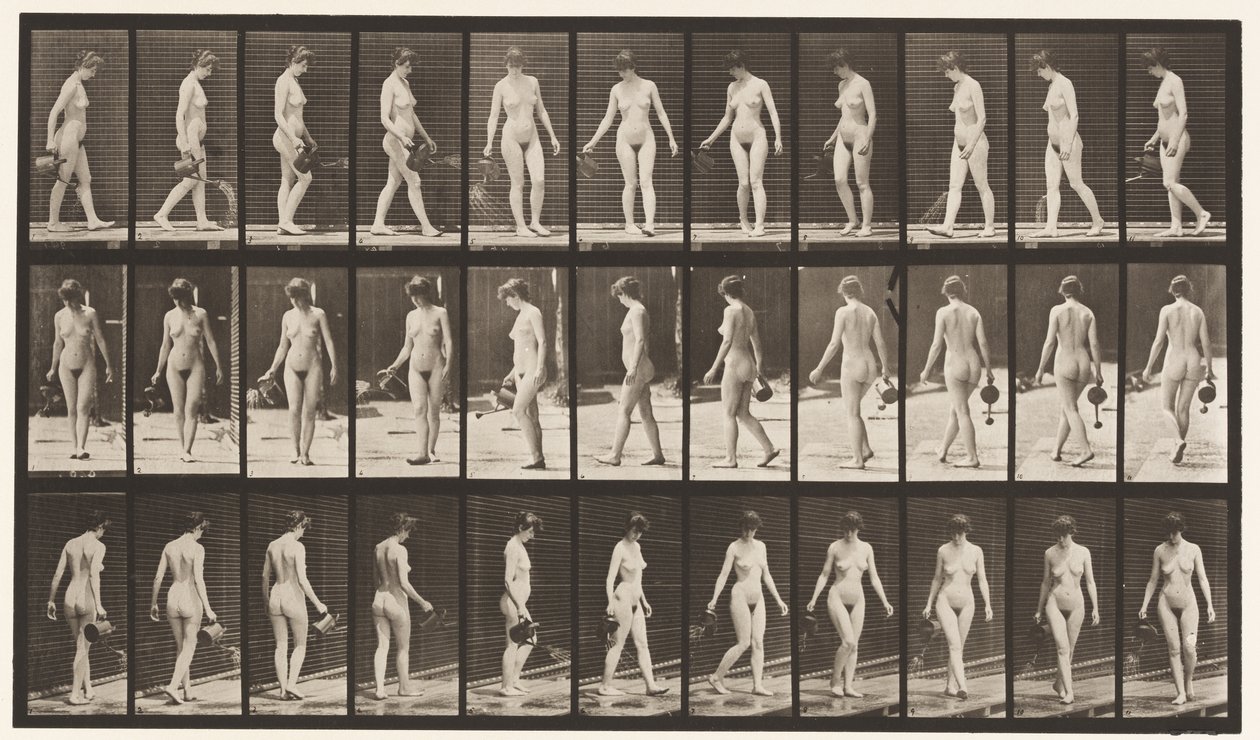 51. tábla. Séta és megfordulás, locsolóedény használatával, 1872-1885 alkotó: Eadweard Muybridge