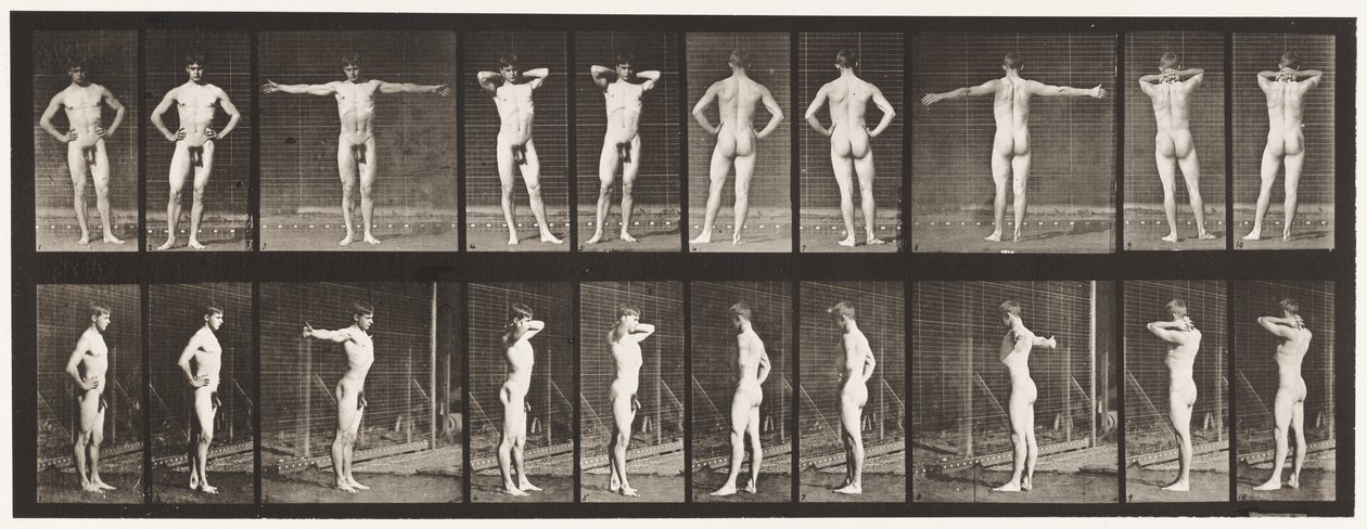 529. tábla. Különféle pózok alkotó: Eadweard Muybridge