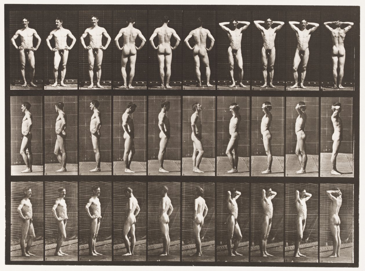530. tábla. Különféle pózok alkotó: Eadweard Muybridge