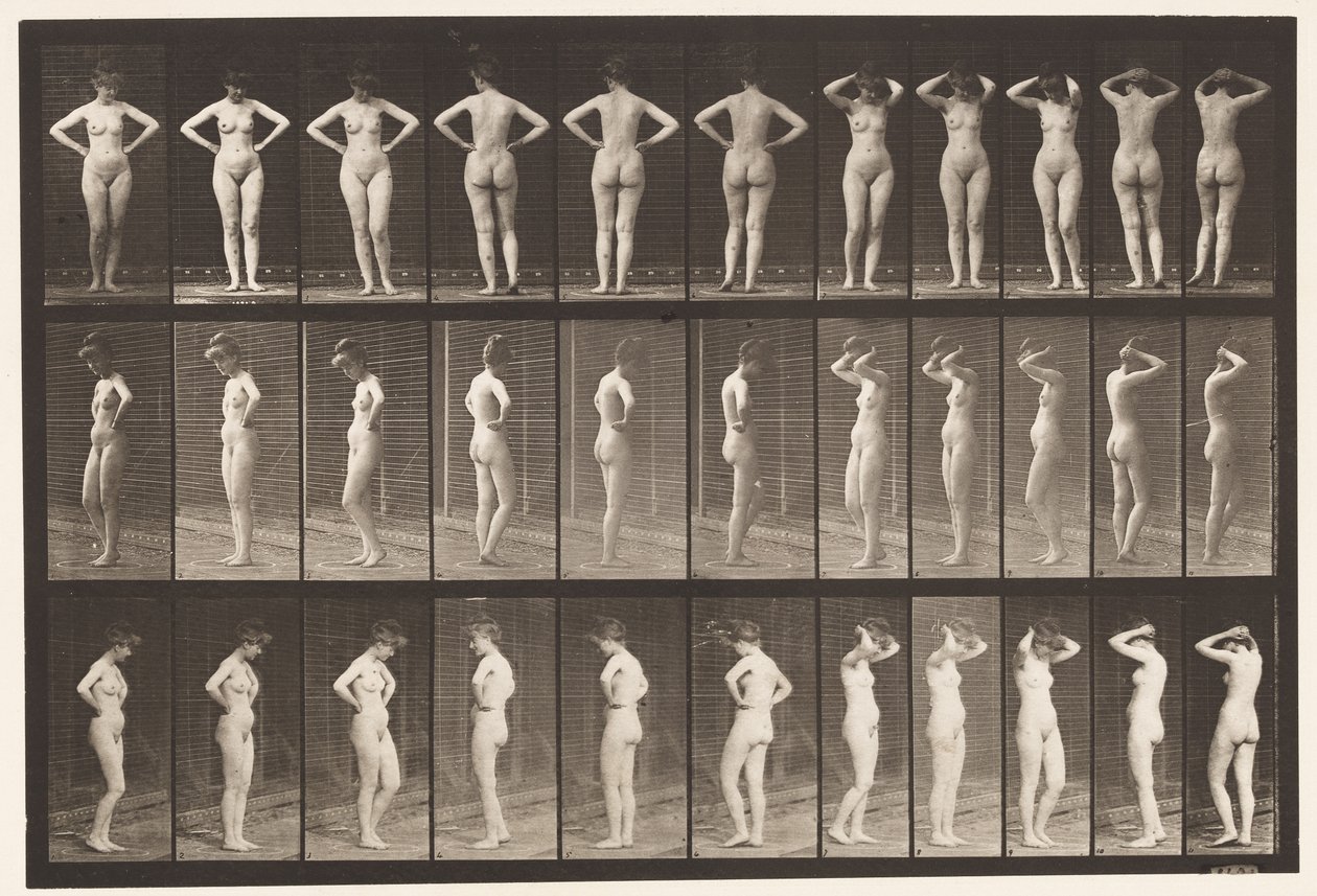 531. tábla. Különféle pózok alkotó: Eadweard Muybridge