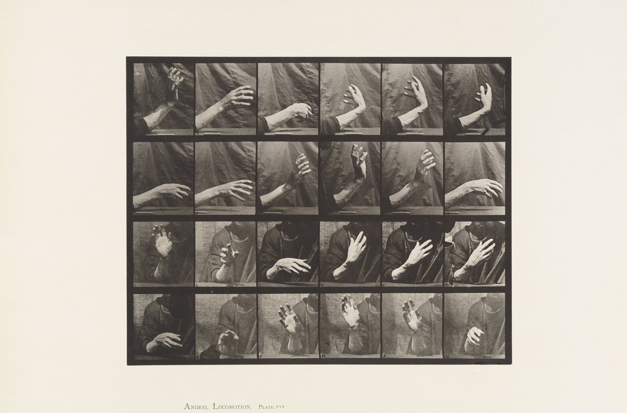 535. tábla. A kéz mozgása; Ütési idő, 1885 alkotó: Eadweard Muybridge