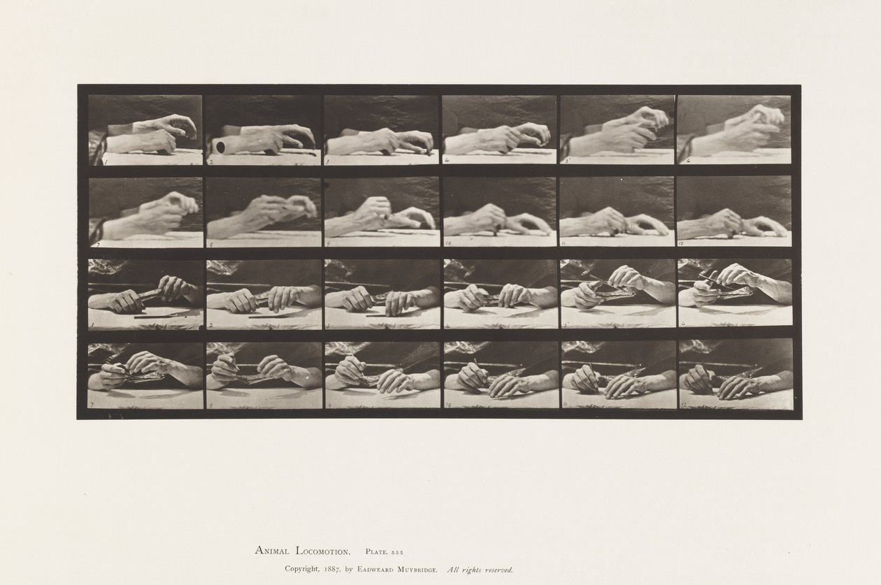 536. tábla. A kéz mozgása; Kezét változó ceruza alkotó: Eadweard Muybridge