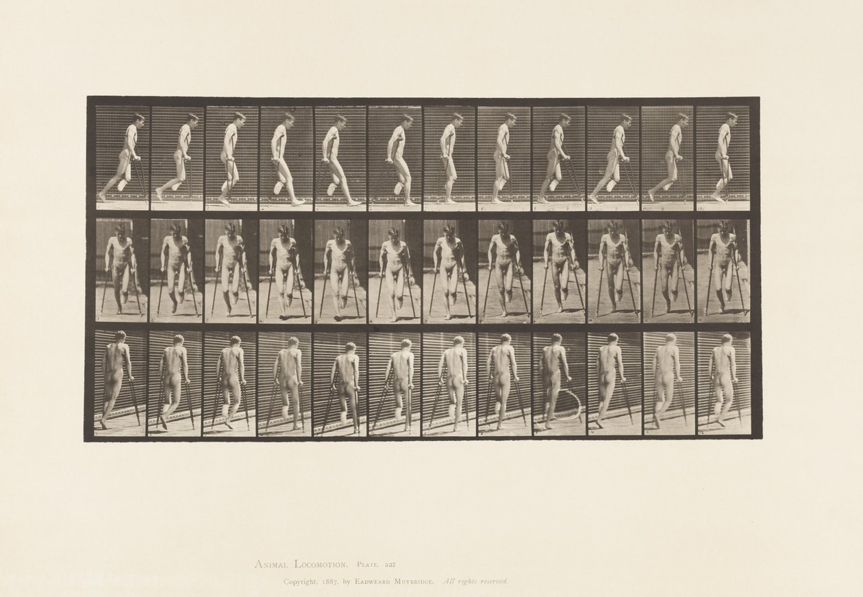 537. tábla. A láb egyszeri amputációja; Mankóval ugrálás alkotó: Eadweard Muybridge
